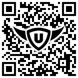 QR-Code Stonies