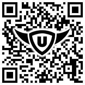 QR-Code Stonies
