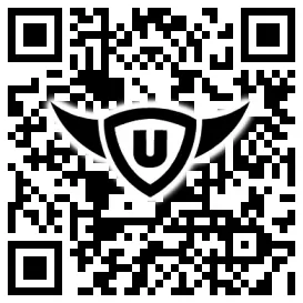 QR-Code Stonies
