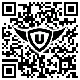 QR-Code Stonies