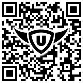 QR-Code Stonies